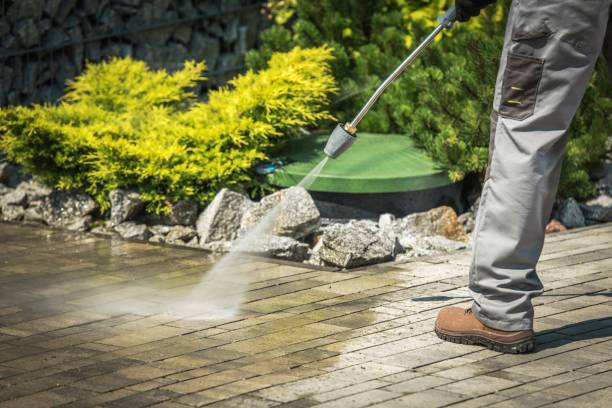 Best Sidewalk and Walkway Cleaning  in Fanning Springs, FL